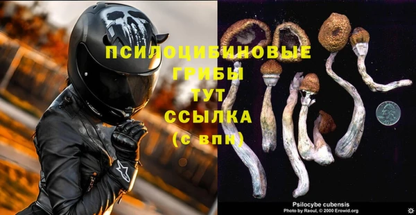 амфетамин Козловка