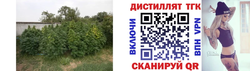 Купить  Калининград  ТГК гашишное масло 
