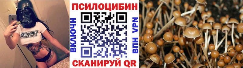 Галлюциногенные грибы MAGIC MUSHROOMS  Купить закладки  Калининград 